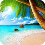 summer wallpapers 4k android application logo